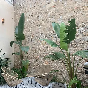 Les Fougeres Jardin Parking , Cannes France